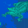 Alligator Alley