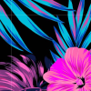 Hawaiian Dream