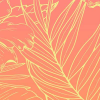 Ombre Hibiscus Tropical
