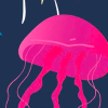 Sea Jellies