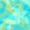 Turtles