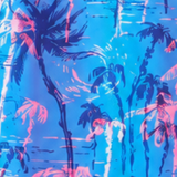 Beachy Palm Ombre