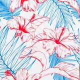 Hibiscus Tropical