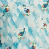 Toucan Prism